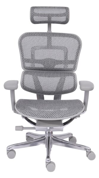 Scaun de birou Ergohuman 2 Elite GS Grey