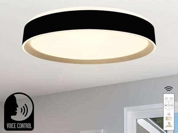 Plafonieră LED dimabilă cu control vocal OPAL LED/48W/230V + telecomandă
