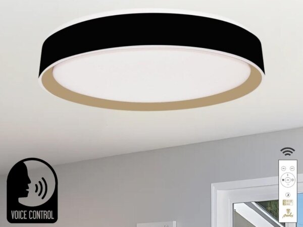 Plafonieră LED dimabilă cu control vocal OPAL LED/48W/230V + telecomandă