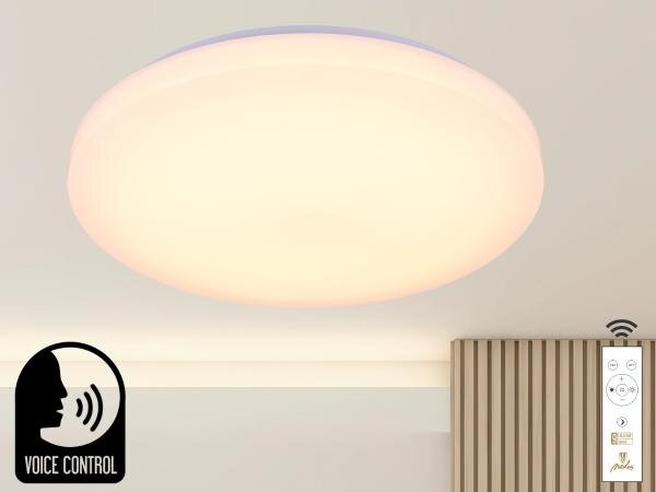 Plafonieră LED dimabilă cu control vocal OPAL LED/48W/230V + telecomandă