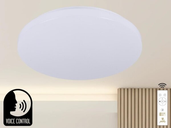 Plafonieră LED dimabilă cu control vocal OPAL LED/48W/230V + telecomandă