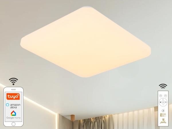 Plafonieră LED dimabilă OPAL LED/48W/230V Wi-Fi Tuya + telecomandă