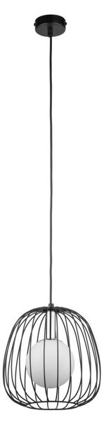 Lustră pe cablu BELL 1xG9/12W/230V d. 24 cm negru/crom lucios