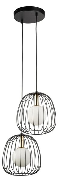 Lustră pe cablu BELL 2xG9/12W/230V negru/auriu
