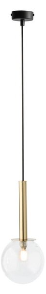 Lustră pe cablu DAISY 1xG9/12W/230V d. 14 cm auriu/negru/transparent