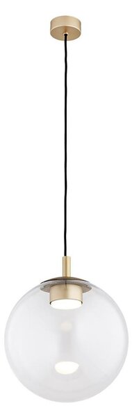 Lustră pe cablu Argon 8828 SACRAMENTO 1xGX53/8W/230V transparent/auriu