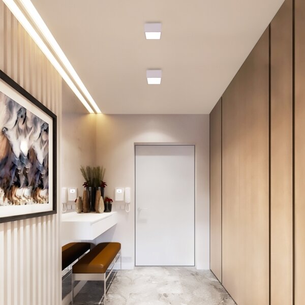 Plafonieră LED dimabilă CANTO LED/12W/230V albă Immax NEO 07072L-15