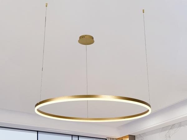 Lustră LED dimabilă pe cablu LED/55W/230V 3000-6500K + telecomandă