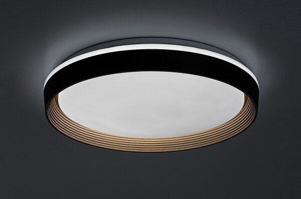 Plafonieră LED dimabilă Rabalux 71308 LADAN LED/48W/230V 3000-6500K + telecomandă