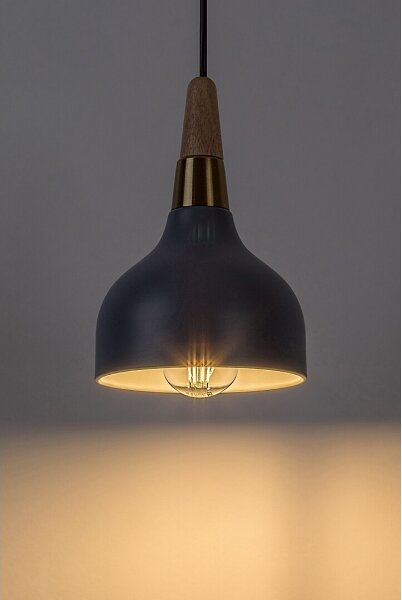 Lustră pe cablu Rabalux 72135 DRUSILLA 1xE27/40W/230V
