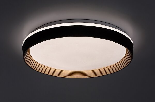 Plafonieră LED dimabilă Rabalux 71308 LADAN LED/48W/230V 3000-6500K + telecomandă
