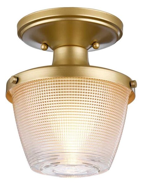 Plafonieră pentru baie Quoizel QZ-DUBLIN-SF-PNBR DUBLIN 1xE27/40W/230V IP44 auriu