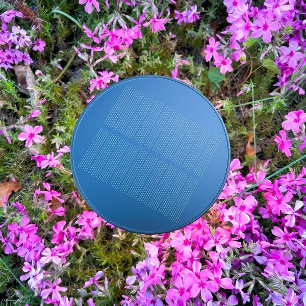 Lampă LED solară Zuma Line DT33611 CARLI LED/2W/2000 mAh IP44 negru