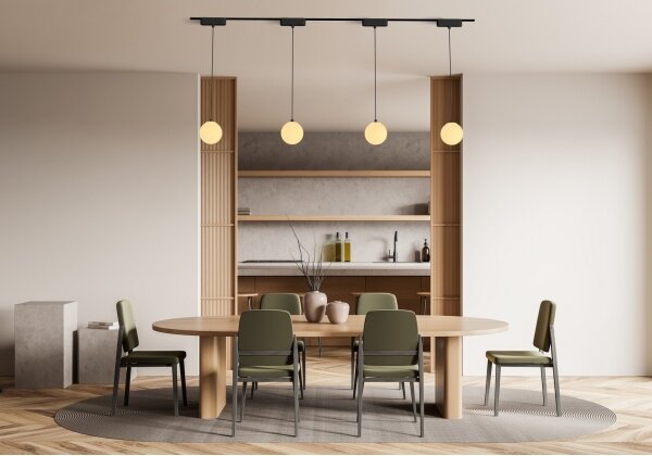 Lustră LED pentru sistem de șină monofazic Rabalux 70120 LiTrack LED/5W/24V 4000K