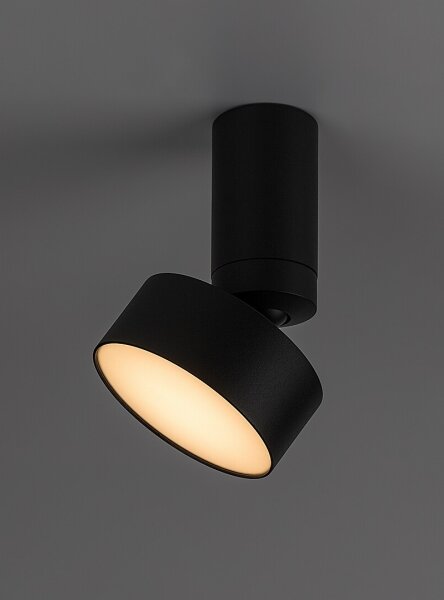 Rabalux 71321 - Plafonieră LED OVIDIA LED/10W/230V 3000K, negru