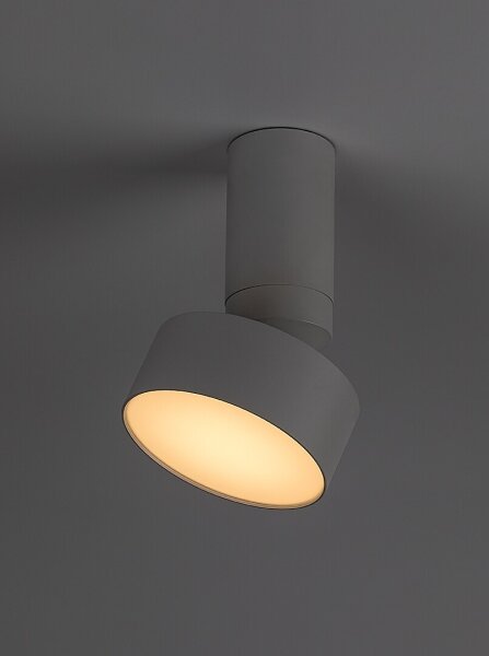 Rabalux 71326 - Plafonieră LED OVIDIA LED/10W/230V 3000K albă