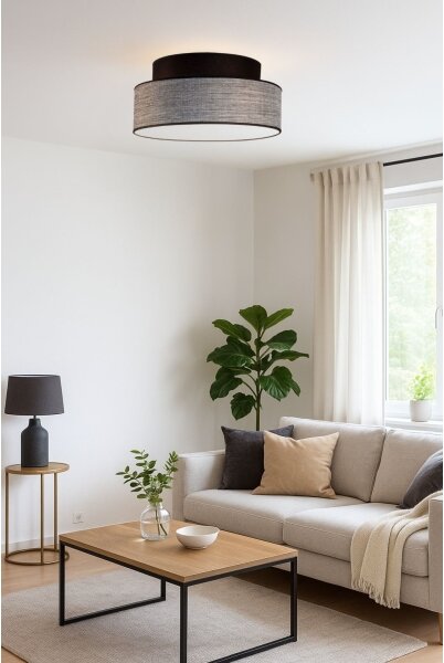 Plafonieră GRACE 1xE27/60W/230V negru/gri