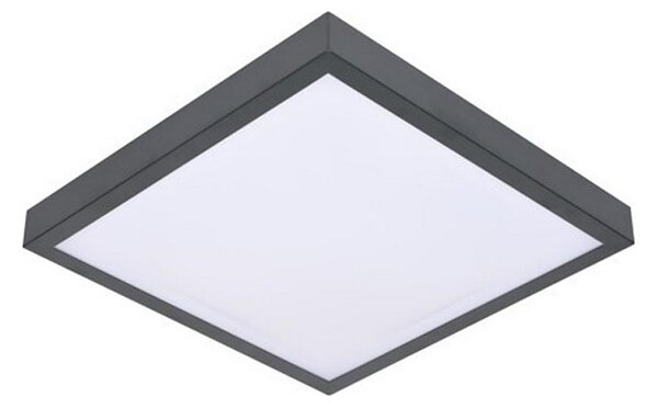 Plafonieră LED cu senzor VITALI LED/24W/230V 4000K