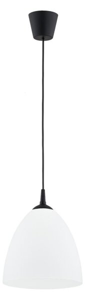Lustră pe cablu LERA 1xE27/15W/230V negru