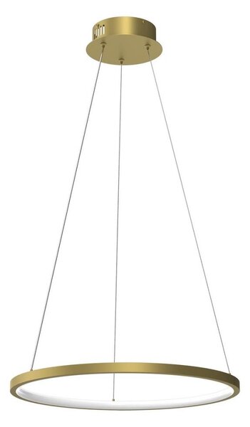 Lustră LED pe cablu HOOP LED/27W/230V d. 50 cm 4000K auriu