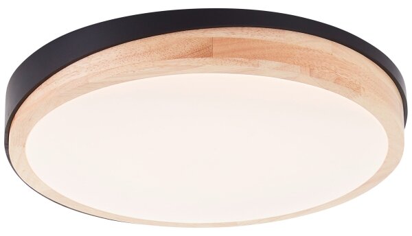 Plafonieră LED dimabilă Brilliant BAARLO LED/24W/230V d. 35 cm negru