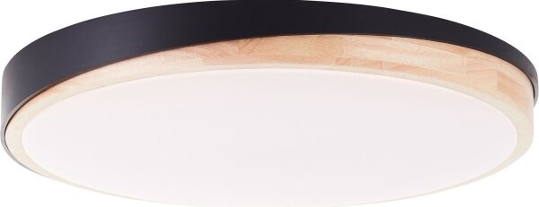 Plafonieră LED dimabilă Brilliant BAARLO LED/36W/230V d. 50 cm negru + telecomandă