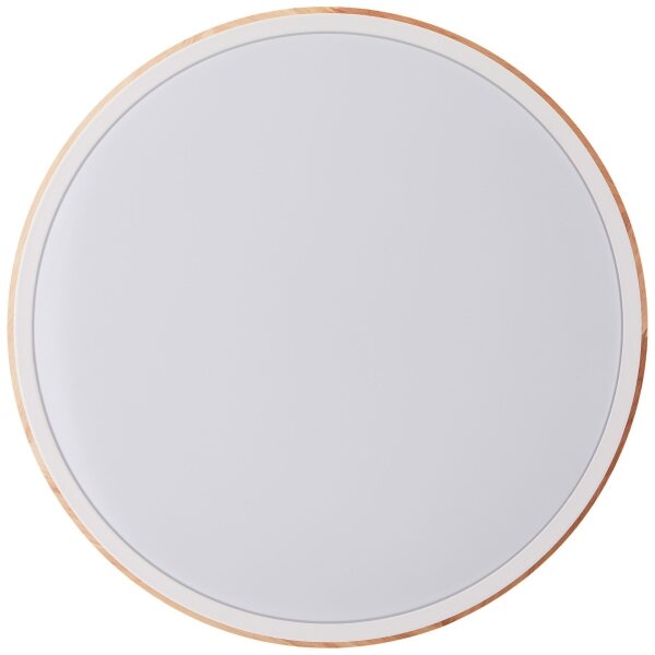 Plafonieră LED dimabilă Brilliant BAARLO LED/24W/230V d. 35 cm alb