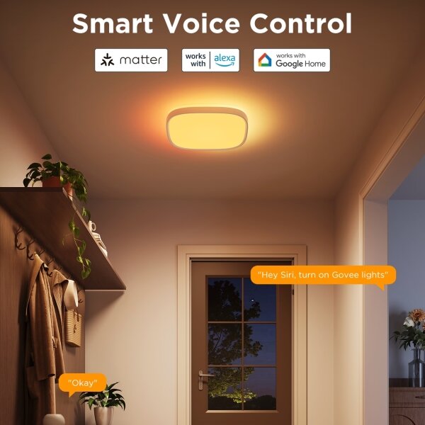 Plafonieră LED RGBIC dimabilă Govee LED/24W/230V 2700-6500K Wi-Fi
