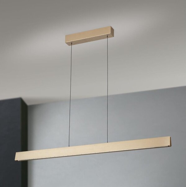 Lustră LED dimabilă pe cablu Orion HL 6-1716/120 TARA LED/44W/230V auriu