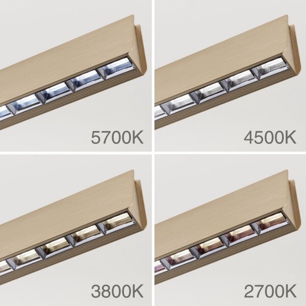 Lustră LED dimabilă pe cablu Orion HL 6-1716/120 TARA LED/44W/230V auriu