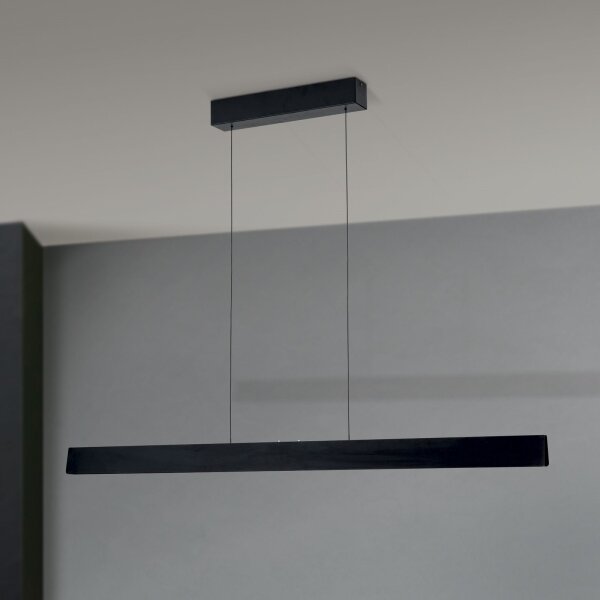 Lustră LED dimabilă pe cablu Orion HL 6-1716/120 TARA LED/44W/230V negru