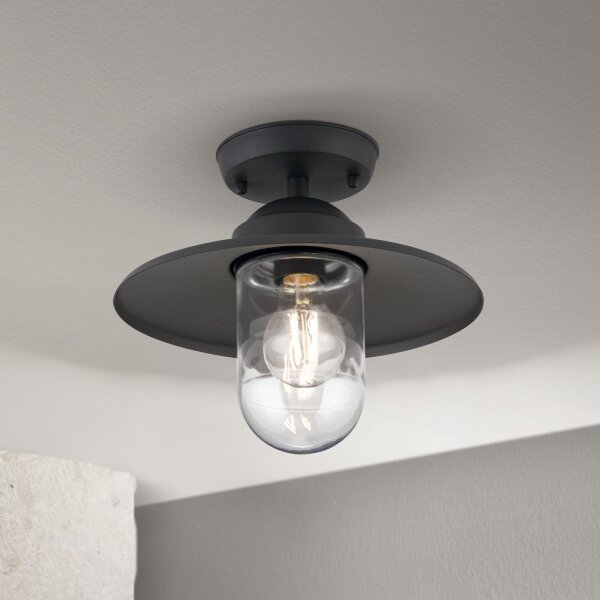 Orion AL 11-1317 - Plafonieră aplicată de exterior EDWARD 1xE27/60W/230V IP44 antracit