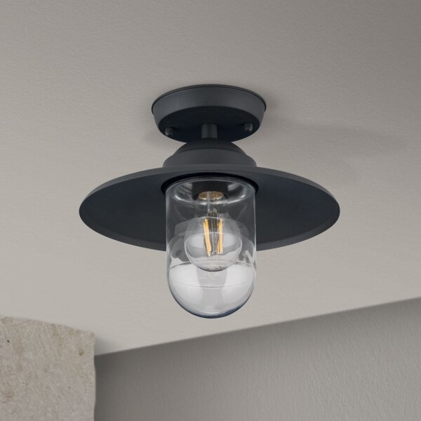 Orion AL 11-1317 - Plafonieră aplicată de exterior EDWARD 1xE27/60W/230V IP44 antracit
