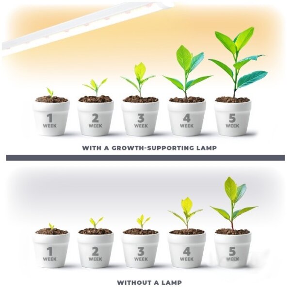 Corp de iluminat LED pentru corpuri de bucătărie pentru creșterea plantelor GROWLY LED/9W/230V alb