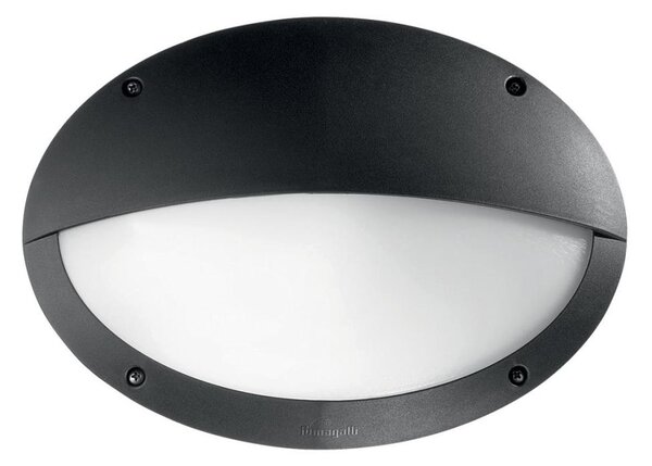 Ideal Lux - Aplica de perete pentru exterior POLAR 1xE27/23W/230V IP66 neagră