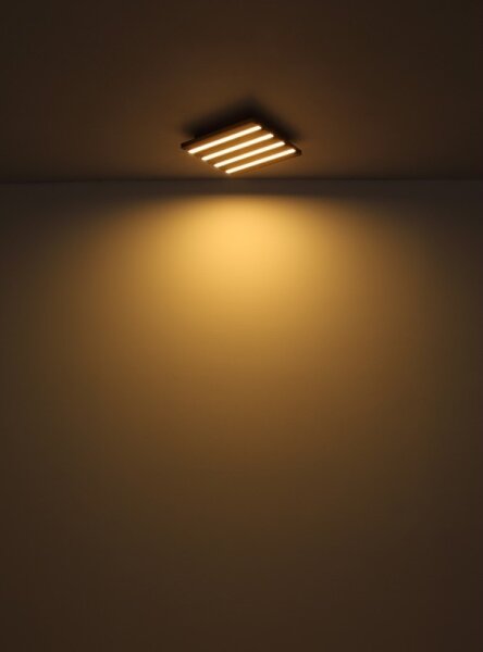 Globo 67347D2 - Plafonieră LED HAYDEN LED/30W/230V 3000K 45x45 cm