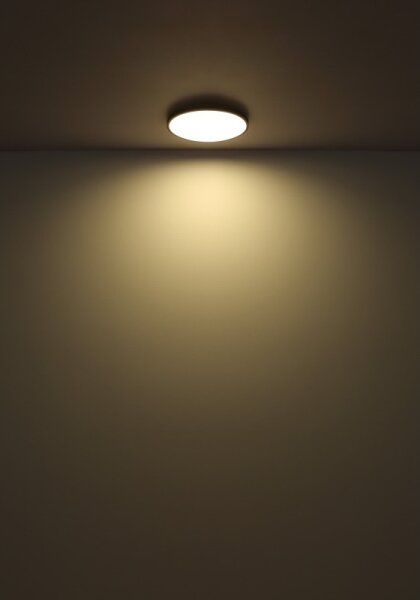 Plafonieră LED Globo 41566-32S NIELSEN LED/32W/230V d. 40 cm negru