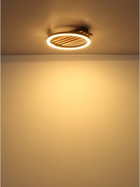 Plafonieră LED Globo 67353D1 TISHA LED/12W/230V 3000K 30x34 cm