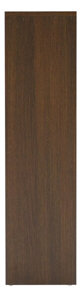 Dulap de pantofi Sancho, stejar fumuriu (100 cm)
