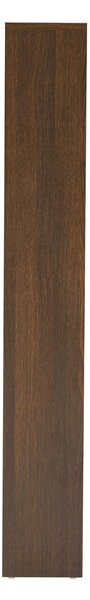 Dulap de pantofi Litto, stejar fumuriu (49 cm)