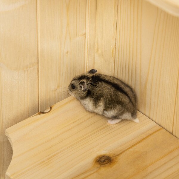 PawHut Cusca pentru Rozitori si Hamsteri cu 4 Rafturi cu Acoperis Trapa in Lemn 60x40x120cm | Aosom Romania