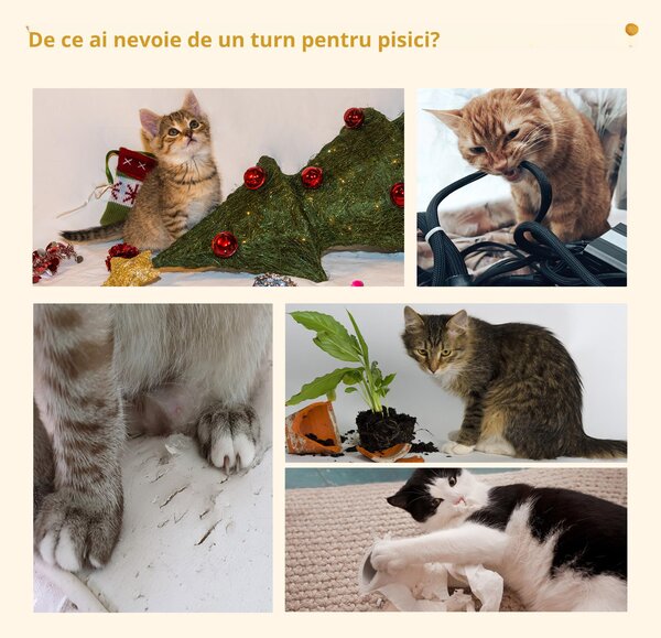 PawHut Stâlp de Zgâriat pentru Pisici pe 4 Niveluri și Fixare pe Tavan Reglabil, 43x27x228-260 cm, Gri | Aosom Romania