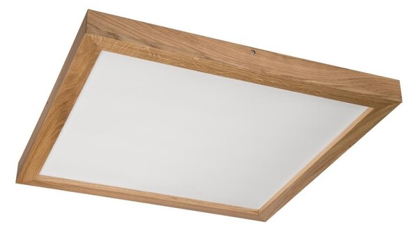 Brilagi - Plafonieră LED pentru baie WOODY FRAME, 40W, 230V, 60x60 cm, IP44, stejar