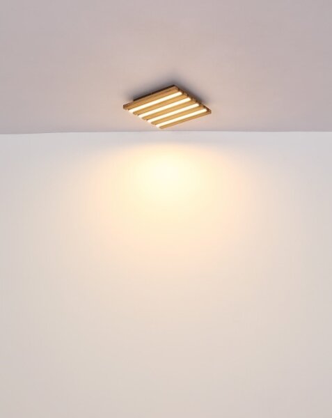 Globo 67347D1 - Plafonieră LED HAYDEN LED/15W/230V 3000K 30x30 cm