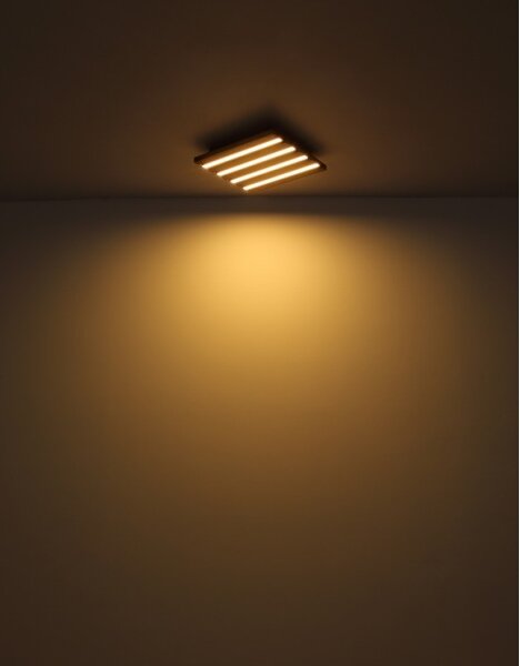 Globo 67347D1 - Plafonieră LED HAYDEN LED/15W/230V 3000K 30x30 cm