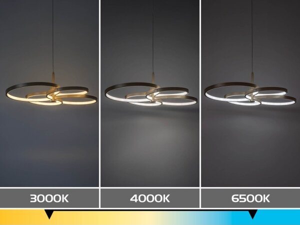 Rabalux 72401 - Lustră LED dimabilă pe cablu ISIDORA 70W/230V 3000-6500K + telecomandă