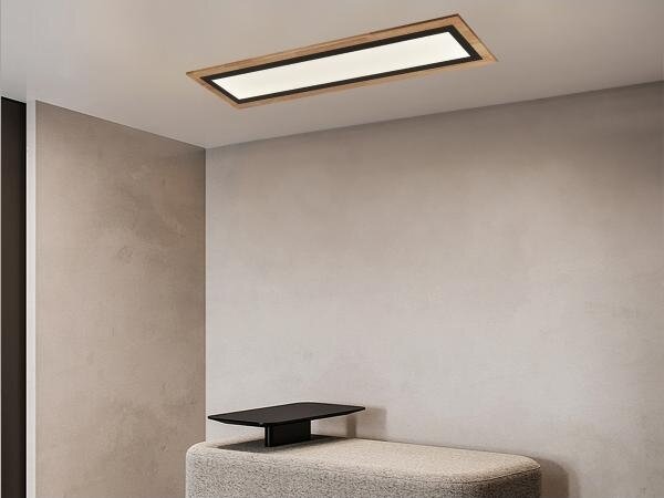 Plafonieră LED dimabilă 55W/230V 3000-6500K cu telecomandă