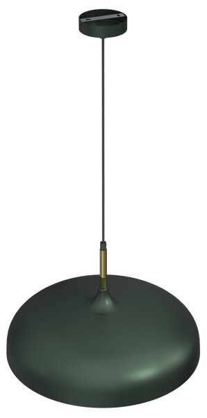 Lustră pe cablu BRILAGI ABRAHAM 1xE27/60W/230V d. 45 cm verde