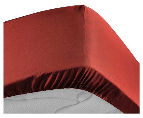Cearceaf cărămiziu din bumbac percal cu elastic 180x200 cm Percaline – douceur d'intérieur