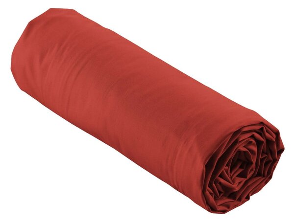 Cearceaf cărămiziu din bumbac percal cu elastic 180x200 cm Percaline – douceur d'intérieur